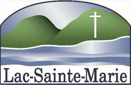 logo lsm 25
