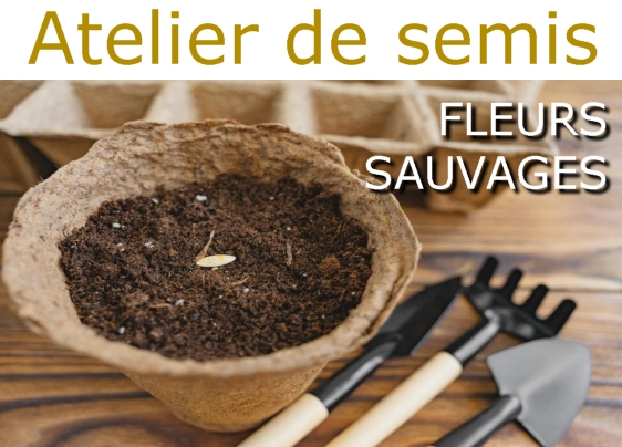 atelier semis 2026 04