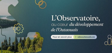 observatoire outaouais consultation