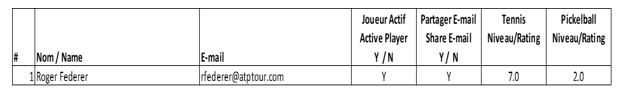 tennis lsm exemple auto evaluation